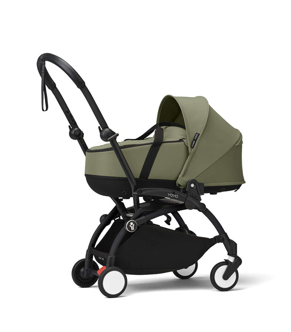 Olive, Black