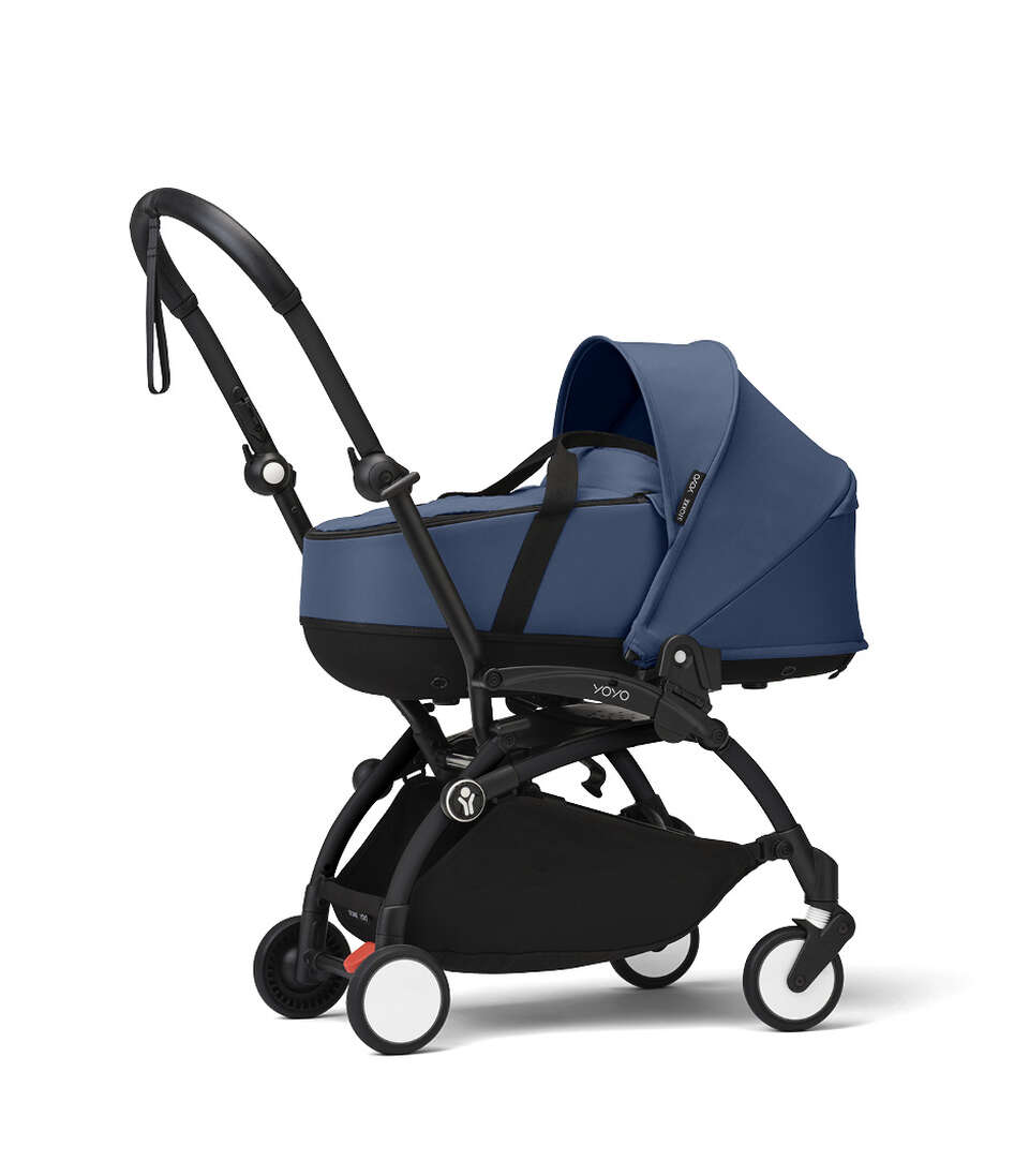Navy, Black